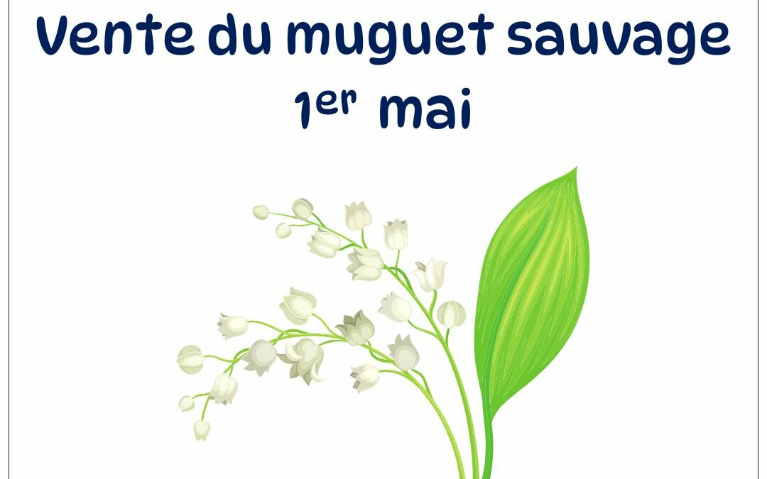 Vente du muguet sauvage – 1er mai 2025