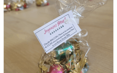 Commission solidarité du Conseil Municipal des Enfants