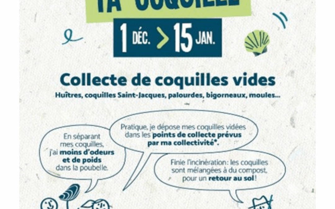 Ramène ta coquille !