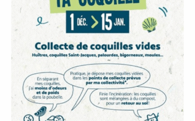 Ramène ta coquille !