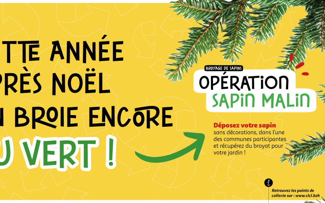 Opération Sapin Malin