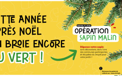 Opération Sapin Malin